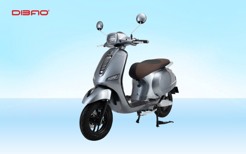 Xe điện màu ghi Dibao Pansy Dio + 2025